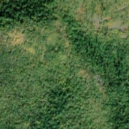 Satellite imagery of Limestone Hogback, US