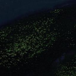 Satellite imagery of Kvistodden, NO