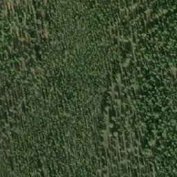 Satellite imagery of Lone Mountain, CA