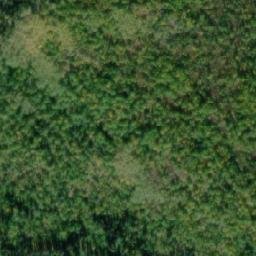 Satellite imagery of Grouse Mountain, CA