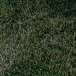 Satellite imagery of Mount Leotta, CA