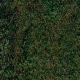 Satellite imagery of Mount Leotta, CA