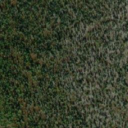 Satellite imagery of Mount Leotta, CA