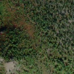 Satellite imagery of Mount Leotta, CA