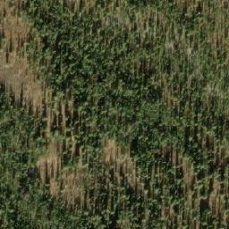 Satellite imagery of Beauvette Hill, CA