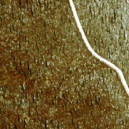 Satellite imagery of Sourdough Hill, CA