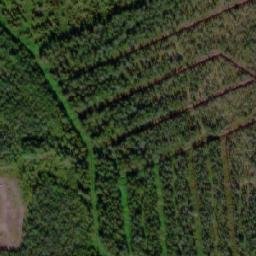 Satellite imagery of Laukkasenniemi, FI