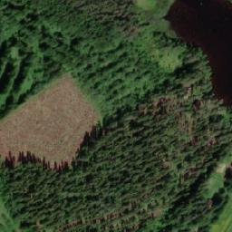 Satellite imagery of Kutuniemi, FI