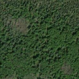 Satellite imagery of Liberal Ridge, CA