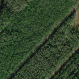 Satellite imagery of Petäjikköniemi, FI
