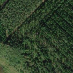 Satellite imagery of Petäjikköniemi, FI