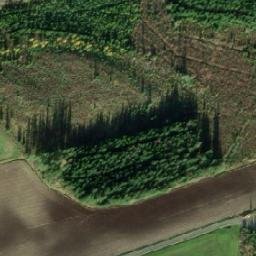 Satellite imagery of Nuoliniemi, FI