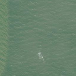 Satellite imagery of Rock Point, US