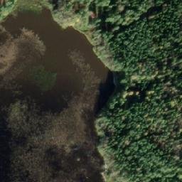 Satellite imagery of Ankkosenniemi, FI