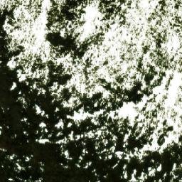 Satellite imagery of Wounded Moose Dome, CA