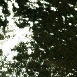 Satellite imagery of Wounded Moose Dome, CA