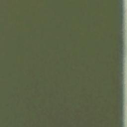 Satellite imagery of Fivemile Point, US