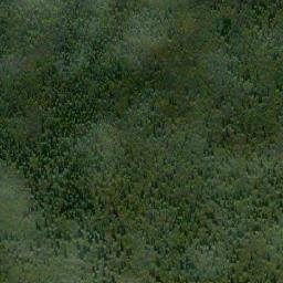 Satellite imagery of Ferry Hill, CA