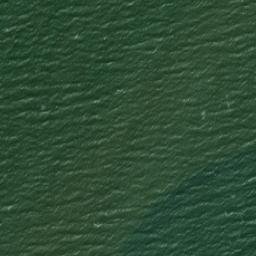 Satellite imagery of Canal Point, US