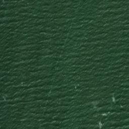 Satellite imagery of Canal Point, US