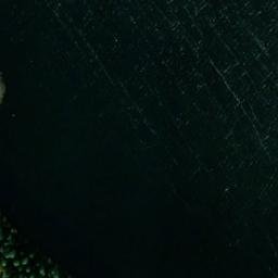 Satellite imagery of Niemenharju, FI