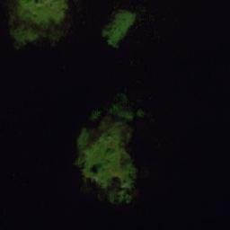 Satellite imagery of Pielesniemi, FI