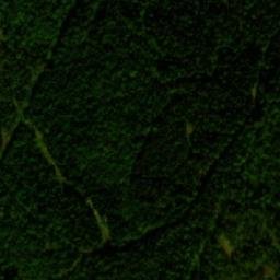 Satellite imagery of Paloniemi, FI