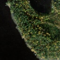 Satellite imagery of Pitkänlahdenniemi, FI