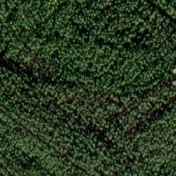 Satellite imagery of Aittoniemi, FI