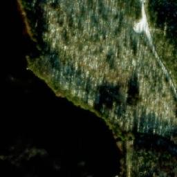 Satellite imagery of Rakennusniemi, FI