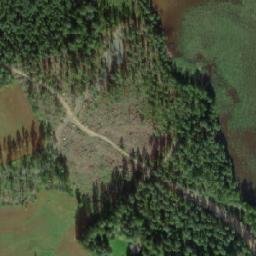 Satellite imagery of Kaluusinniemi, FI