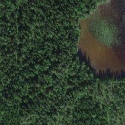 Satellite imagery of Kaluusinniemi, FI