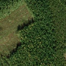 Satellite imagery of Lepuukivi, FI