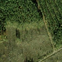 Satellite imagery of Lepuukivi, FI