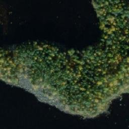 Satellite imagery of Palosaari, FI