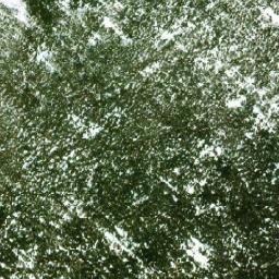 Satellite imagery of Grizzly Dome, CA