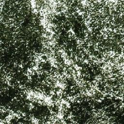 Satellite imagery of Grizzly Dome, CA