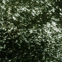 Satellite imagery of Grizzly Dome, CA