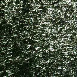 Satellite imagery of Grizzly Dome, CA