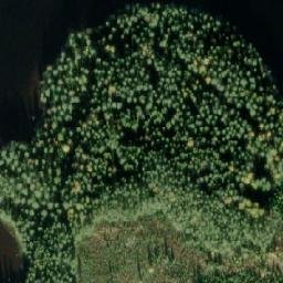 Satellite imagery of Taivalniemi, FI