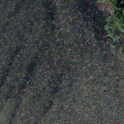Satellite imagery of Länsisarvi, FI