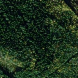 Satellite imagery of Selkäpuunniemi, FI
