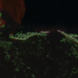 Satellite imagery of Kannasniemi, FI