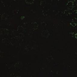 Satellite imagery of Kannasniemi, FI