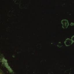 Satellite imagery of Maaherranniemi, FI
