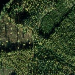 Satellite imagery of Korteniemi, FI
