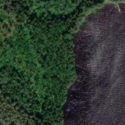 Satellite imagery of Tahvonniemi, FI