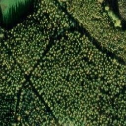 Satellite imagery of Halkoniemi, FI
