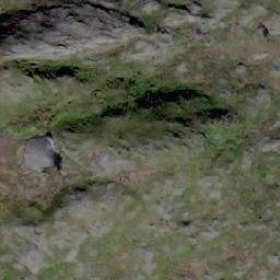 Satellite imagery of Lågfjellet, NO