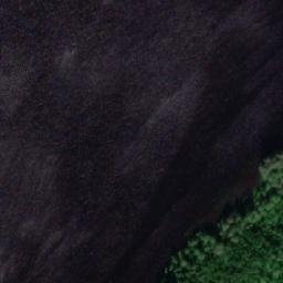 Satellite imagery of Likoniemi, FI